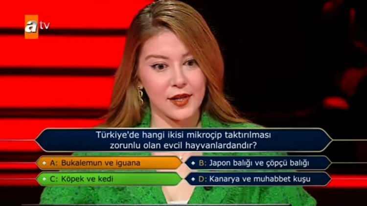 <p>"Türkiye’de hangi ikisi mikroçip taktırılması zorunlu olan evcil hayvandır?" sorusu sorusuna yarışmacının yanıtı şoke etti.</p>
<p> </p>
