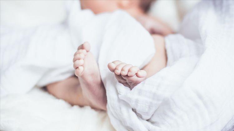 <p>ABD'li bir savcının yaptığı açıklamaya göre annesi tarafından yanlışlıkla fırında uyutulan bebeğin kurtarılamadığı belirtildi.</p>
