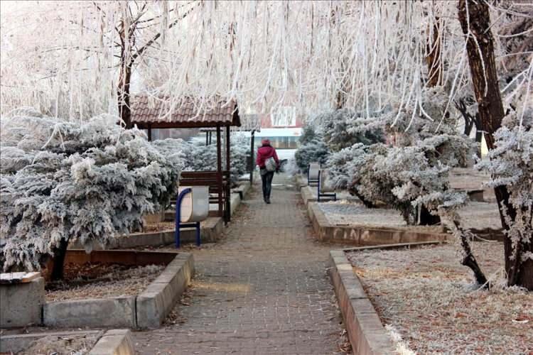 <p>10 - YOZGAT - %11,6</p>
