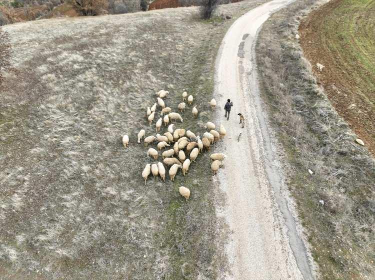 <p>Mezuniyet sonrası köye yerleşme fikrini ortaya attığında ailesinin karşı çıktığını, kararlı olduğunu anladıklarında destek verdiklerini ifade eden Gökköz, köyde yaşam şartlarının şehre göre daha zor olmasına rağmen yaşamından keyif aldığını ve huzurlu olduğunu belirtti.</p>

<p> </p>
