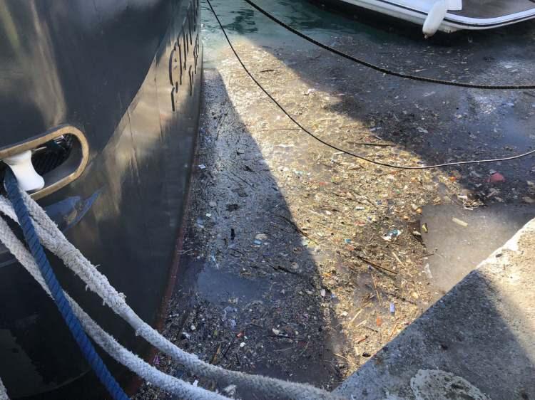 <p>Şu an Marmara Denizi'nin ay denizanalarının işgali altında olduğunu belirten Dr. Erol Kesici, “Marmara Bölgesi için deprem kadar önemli, deprem kadar yıkıcı ve tehlikeli bir durum. Marmara Bölgesi'nin depremden sonra önlem alınması gereken en ciddi ve tehlikeli sorunu Marmara Denizi ve körfezin kirliliğidir. Ne yazık ki ülkemizin en kirli denizlerinin başında, iç deniz özelliğine sahip, çok hassas ve kırılgan ekosistemi bulunan Marmara Denizi geliyor. Marmara Denizi'nin kirliliğinin temel nedeni, insan faaliyetleri, insandır. Marmara Denizi 20 milyonu aşan nüfusun ve neredeyse Türkiye'nin yüzde 70 oranında sanayisini etrafında barındıran bölgelerimizdendir. Tarım atıklarının oluşturduğu kirlilikte önemli bir etkendir" dedi. </p>