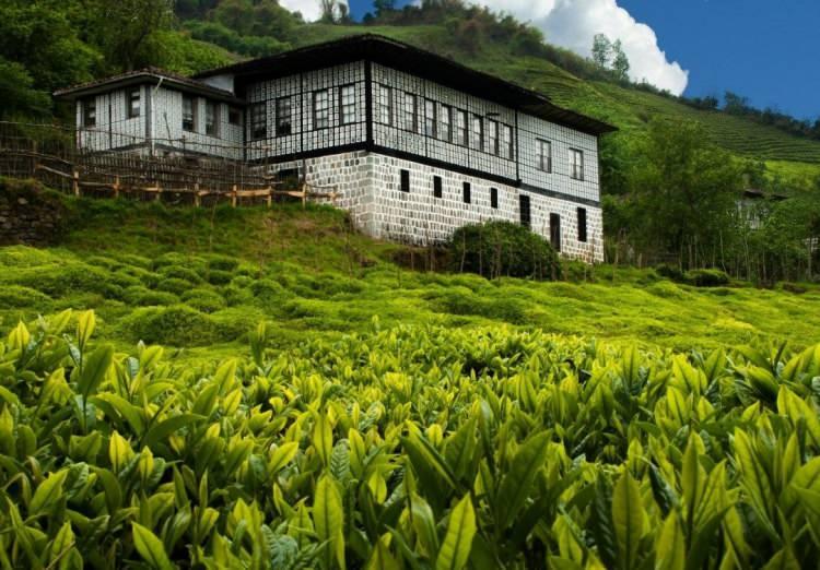 <p><span style="color:#2F4F4F"><em><strong>RİZE</strong></em></span></p>

<p>Kafkas kökenli bir kelime olduğu sanılmaktadır.</p>
