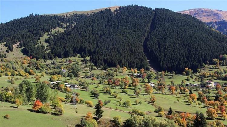 <p>Artvin, Şavşat</p>

<p> </p>
