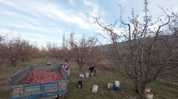 <p>Teslim olur gibi yere yattı, traktörün altına saklandı</p>
<p> </p>