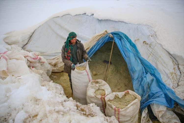 <p>Uzun ve sert geçen kış öncesi barındıkları iki odalı evin bir odasına erzak ve temel ihtiyaçlarını depolayan Sarı çifti, tipi nedeniyle yolu sık sık kapanan yerleşim yerinde teknolojiden ve şehir gürültüsünden uzakta doğal bir yaşam sürdürüyor.</p>
