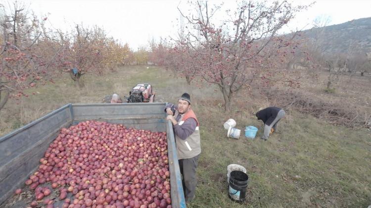 <p> Onları görürsen iyi geçin' diye uyarıda bulunan Karakaş, ardından annesiyle birlikte ziyaret için Elmalı'ya gitti.</p>
<p> </p>