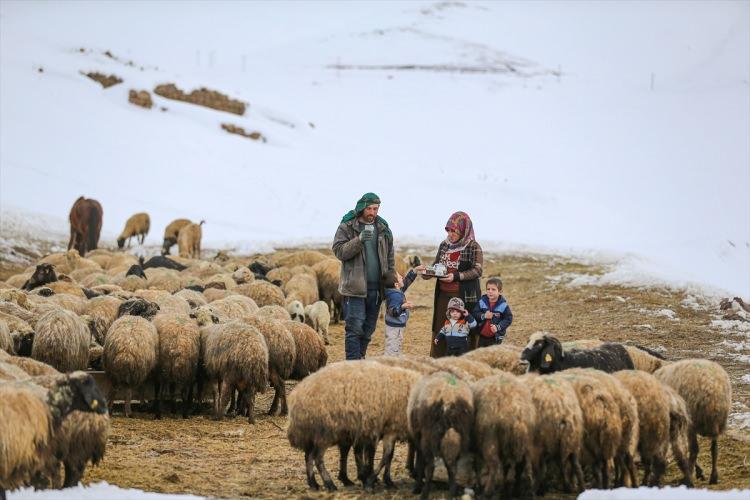 <p><strong>"Burada yaşamak zor ama hayvanlarımız için mecburuz"</strong></p>
