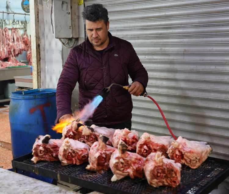 <p>Yağmur, <strong>“Koyun kulağı kelleden ayrılıp ütüleniyor ve ardından kelle paça çorbasının içerisinde tüketiliyor. Kilogramı şu anda 50 liradan satılıyor. Havaların çok aşırı sıcak gitmemesi nedeniyle rağbet fazla. Hem sevenler tüketiyor hem de kelle alamayan vatandaşlar kulağı alıyor” </strong>diye konuştu.</p>
