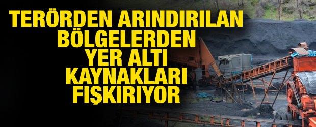 <p><strong>TERÖRDEN ARINDIRILAN BÖLGELERDEN YER ALTI KAYNAKLARI FIŞKIRIYOR</strong></p>