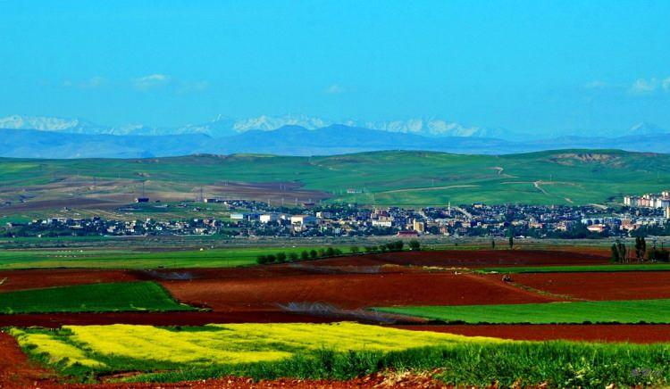 <p><strong>BİSMİL</strong></p>
