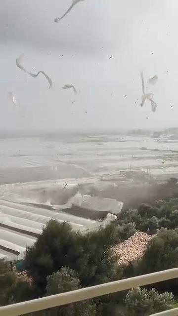 <p>Tarım alanları, seralar ve portakal bahçeleri zarar görürken, birçok iş yerinin camları patladı. Levhaların devrildiği, apartman çatılarındaki güneş enerji sistemleri cadde ve sokaklara düştüğü hortum ayrıca, Kumluca Orman İşletme Müdürlüğü'ne ait binanın çatısını da yerinden kaldırdı.</p>