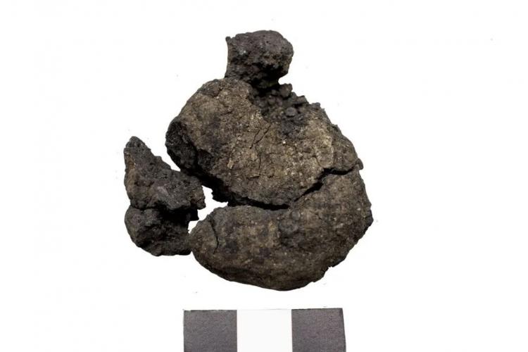 <p>Mayalanmış ekmeğin ilk örneklerine Mısır'da rastlandığını dile getiren Türkcan, "Çatalhöyük'teki bu buluntunun dünyanın en eski ekmeği olduğunu söyleyebiliriz." diyerek keşfin önemine vurgu yaptı.</p>
