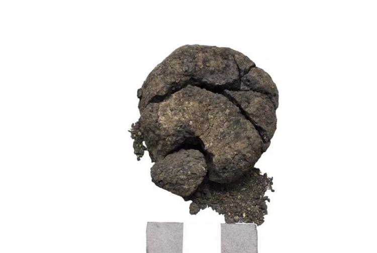 <p>"ÇATALHÖYÜK BİRÇOK İLKLERİN MERKEZİ"</p>

<p>"Bu organik kalıntının, gözlem, analizler ve tarihlendirmesini de göz önüne alarak yaklaşık 8 bin 600 senelik bir ekmek olduğunu söyleyebiliyoruz." diyerek sözlerine devam eden Türkcan, şu ifadeleri kullandı:</p>

<p>"Somun ekmeğin küçültülmüş hali. Ortasına parmak basılmış, fırına girmemiş ama mayalanmış, içindeki nişastalarla beraber günümüze gelmiş. Bugüne kadar böyle bir örnek yok. Çatalhöyük zaten birçok ilklerin merkeziydi. Daha kazıldığı yıllarda dünyanın ilk dokumaları Çatalhöyük'teydi. Ahşap eserler yine Çatalhöyük'teydi. Duvar boyaları, resimler buna eklendi. Konya ve Türkiye bu anlamda çok şanslı. Necmettin Erbakan Üniversitesi'nin laboratuvarlarında tam teşekküllü bütün analizleri yapabilmek büyük bir şans. İlk defa Türkiye'deki laboratuvarlarda ortaya konulduğu için önemliydi"</p>
