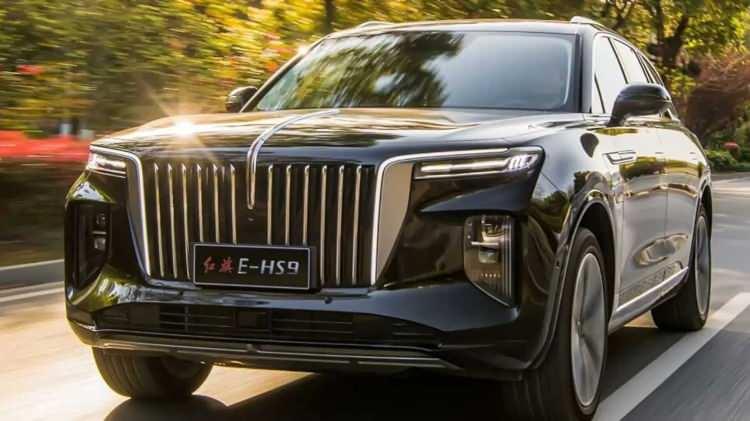 <p><strong>HONGQI - 1 adet</strong></p>
