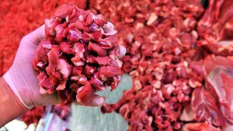 <p>Sarıyer Market,<br />
Snowy Ulu Kardeşler,<br />
Örnek Market,<br />
Show Market,<br />
Altun Market,<br />
Anpa Gross,<br />
Birmar,<br />
Deniz Group, </p>
