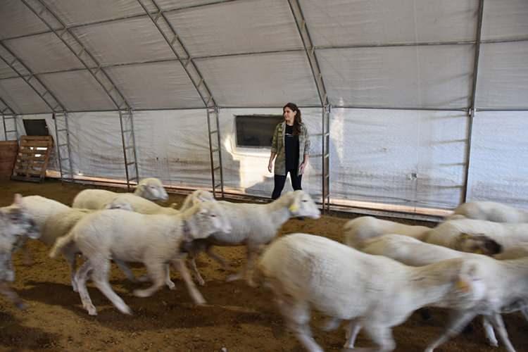 <p>İş Kanunu uyarınca iş ilişkisinde cinsiyet ayrımı yapılamaz. İşveren, biyolojik veya işin niteliğine ilişkin sebepler zorunlu kılmadıkça, bir işçiye, işe alımda, çalışma şartlarının oluşturulmasında, çalışma sırasında ve işten çıkarmada cinsiyet veya gebelik nedeniyle doğrudan veya dolaylı farklı işlem yapamaz. Aynı veya eşit değerde bir iş için cinsiyet nedeniyle daha düşük ücret veremez.</p>