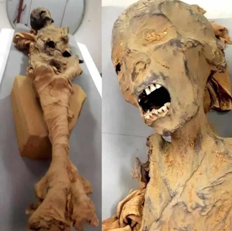 <p><strong>Yürütülen araştırma sonunda, 'çığlık atan mumya' olarak bilinen Mısırlı prensesin 3 bin yıl önce kalp krizi nedeniyle yaşamını yitirdiği belirlendi.</strong></p>