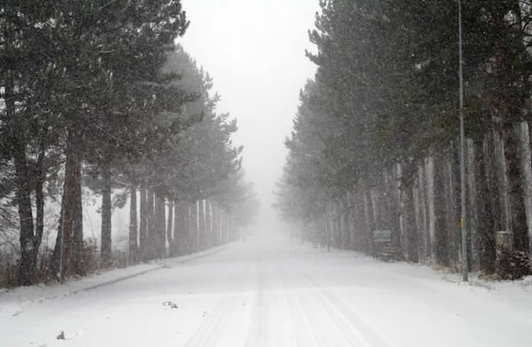 <p><strong>TOKAT 3&deg;C, 19&deg;C</strong></p>

<p>&nbsp;</p>

<p>Par&ccedil;alı ve az bulutlu</p>
