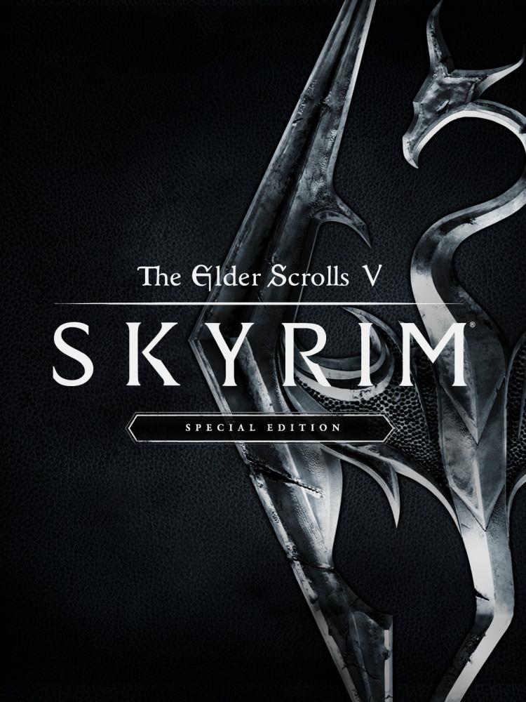 <p><strong><span style="color:#B22222">8)  THE ELDER SCROLLS V: SKYRIM</span>  |  2011</strong></p>
