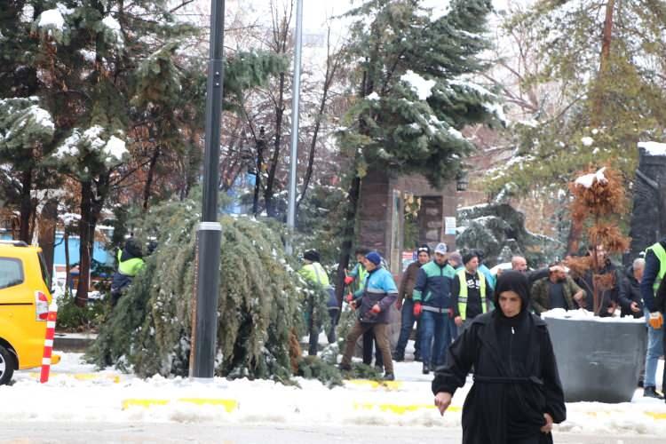 <p>Belediye işçileri, kaldırım ve yollara düşen ağaçları kesmek zorunda kaldı.</p>

<p> </p>
