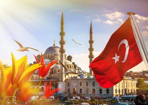 <p><strong><span style="color:#B22222">5)  TÜRKİYE</span>  |  YÜZDE 3.0</strong></p>
