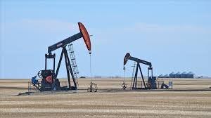 <p><strong>"TÜRK PARASI DEĞER KAZANACAKTIR"</strong></p>
<p>Türkiye’nin en büyük sorununun petrol ve doğal gaz çıkarılmaması olduğunu dile getiren Çelik, ülkenin çok zengin yer altı kaynaklarına sahip olduğunu söyledi. Çelik, "Sondaj kuyuları açılmalı ve petrol noktalarında jeoloji mühendislerinin araştırması ile iyi şekilde çalışmalar yapılarak petrolün hangi formasyonda olduğu belirlenmelidir. Yer altı zenginliklerimizi kullanabilirsek Türk parası değer kazanacaktır" diye konuştu.</p>