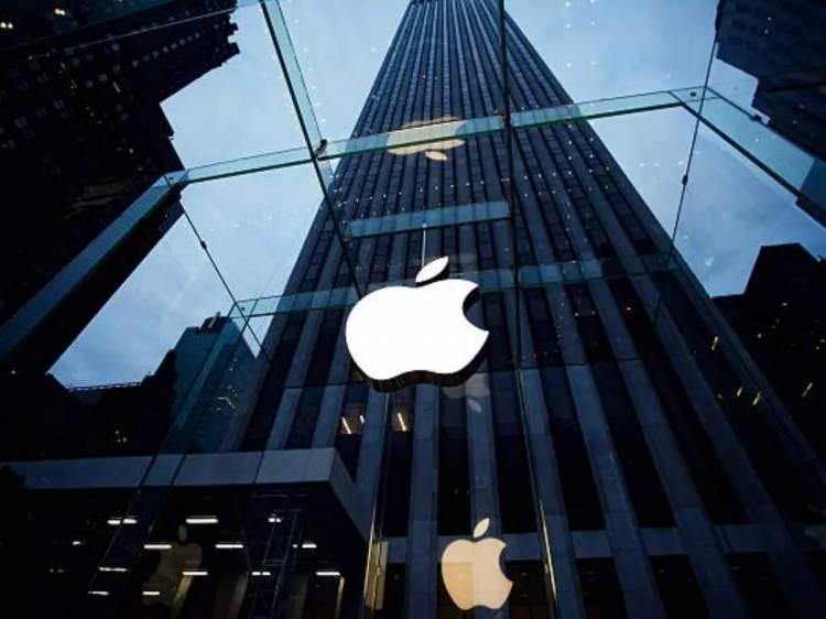 <p><span style="color:#B22222"><strong>1)  APPLE</strong></span></p>
