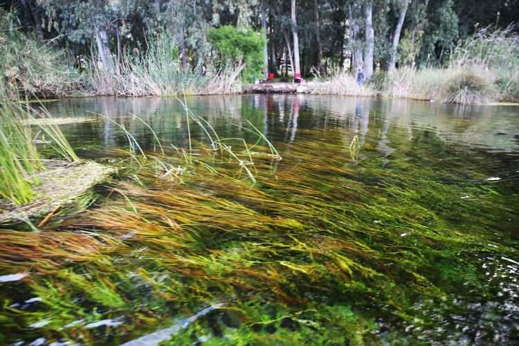 <p>Görünümüyle doğal bir akvaryumu andıran Kadın Azmağı Deresi'nde teknelerle ve kürek sörfüyle gezintiye çıkan turistler, sazlıkların oluşturduğu labirentlerde doğayla baş başa kalma imkanı buluyor.</p>
