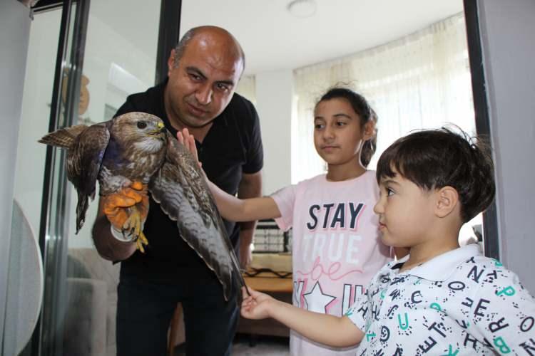 <p>“Kuşumuz bayram misafiri olduğu için ismini ‘Bayram’ koyduk. Yaprak sarması verdik. Tavuk etiyle besledik. Suyunu içirdik. Tedavisi için Doğa Koruma ve Mili Parklar Amasya Şubesi’ne götüreceğim. İyileştiğinde aynı yere salarsak belki bayramdan bayrama bizi ziyarete gelir” </p>
