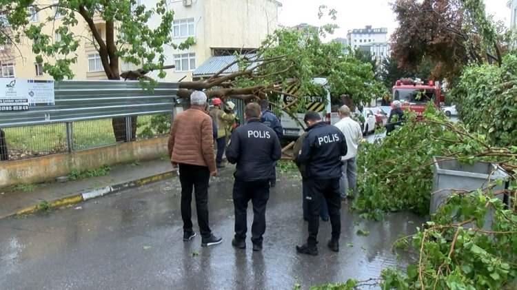 <p>Devrilen ağaç nedeniyle sokak trafiğe kapandı. İhbar verilmesi üzerine olay yerine itfaiye ve polis ekipleri sevk edildi.</p>

<p> </p>
