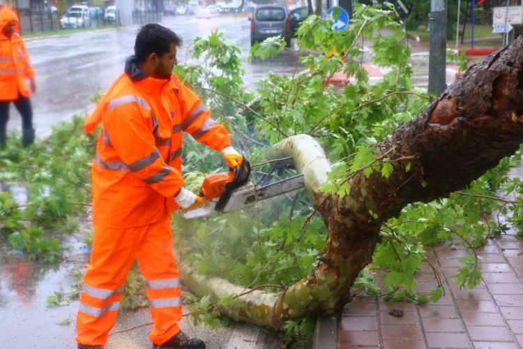 <p>Fırtına nedeniyle Konyaaltı Sahili'ndeki bazı ağaçlar devrildi, işletmeler uçuşan şemsiye ve tezgahlarını tutmaya çalıştı.</p>
