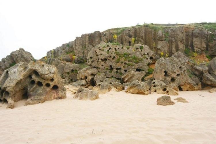 <p><span style="color:#000000"><strong>Şile'nin gizemli güzelliklerinden biri olan Boru Kayalar, nadide bir doğa harikası olarak hem yerli hem de yabancı turistler tarafından yoğun ilgi görüyor.</strong></span></p>