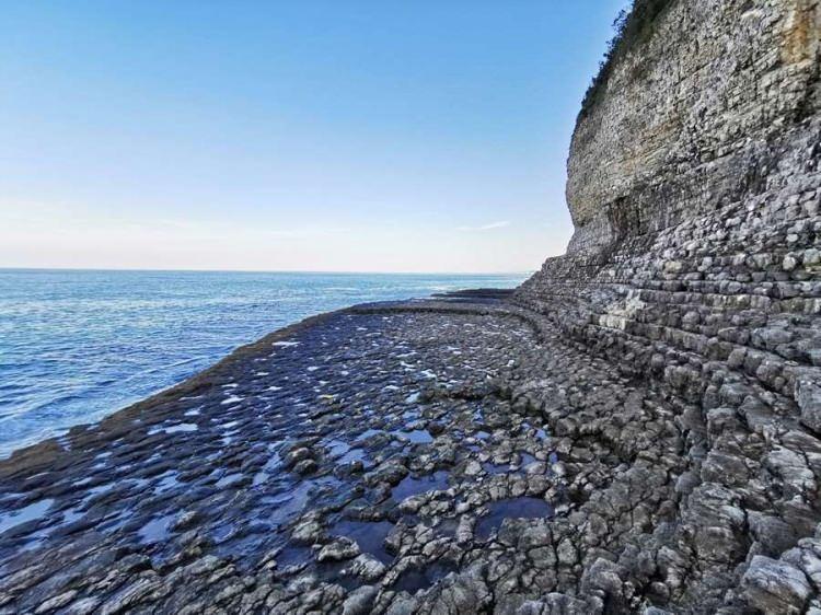 <p><span style="color:#000000"><strong>Şile Çevre Gönüllüleri Derneği tarafından turizme kazandırılan 800 bin yıllık tarihi olan kayaları görmek isteyen pek çok kişi hem denizin tadına varıyor hem de bu nadide jeolojik kalıntıyı görme fırsatı yakalıyor.</strong></span></p>