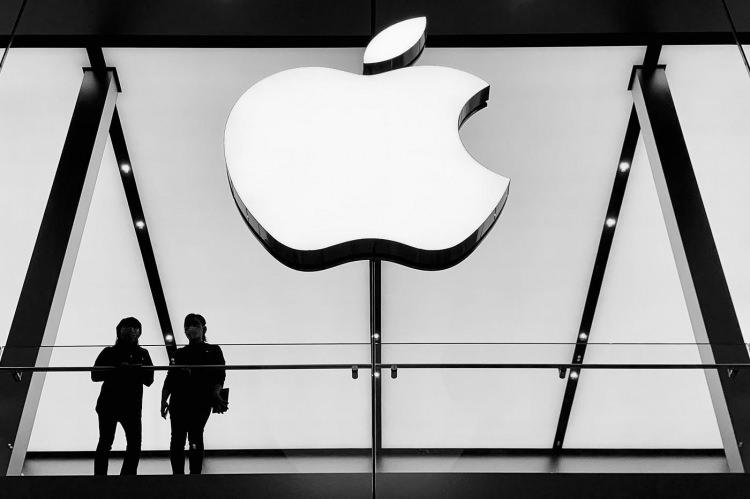 <p><span style="color:#B22222"><strong>2)  APPLE</strong></span></p>
