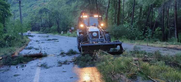 <p>Marmaris Belediyesi Araç Parkı Asfalt Depolama Alanı’nın çatısı, Park Bahçeler Birimi'nin üzerine uçtu. Yapıda ve bir araçta hasar meydana geldi.</p>

<p>Muğla Büyükşehir Belediyesi Marmaris Mezbahası'nın da çatısı ve bazı iç duvarları kısmen zarar gördü.</p>
