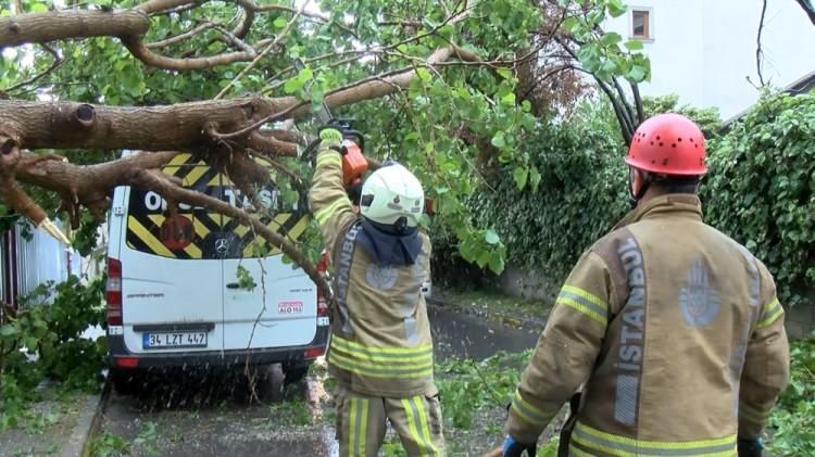 <p>Altayçeşme Mahallesi Er Sokak’ta saat 09.30 sıralarında sağanak yağış ve rüzgar nedeniyle boş arazide bulunan dut ağacının bir kısmı, sokakta park halindeki otomobil ve servis minibüsünün üzerine devrildi.</p>
