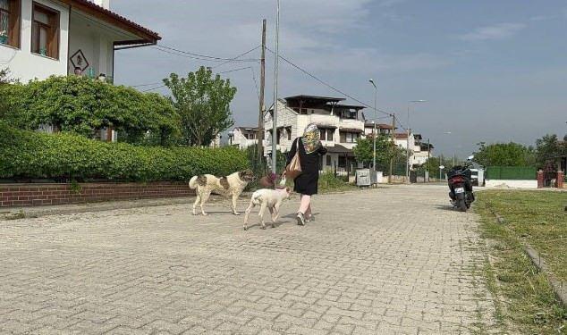 <p>Altın gününe gittiği evde acılı manzarayla karşılaşan Ayşe Karanfil, 2 kuzudan birini sahiplendi. Öyle ki Mercan artık ailenin bir parçası haline geldi.</p>
