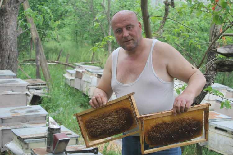 <p>Ordu'da arıcılar, maskesiz ve eldivensiz yarı çıplak halde arı kovanlarını açarak, adeta arılara meydan okuyor.  </p>

<p> </p>
