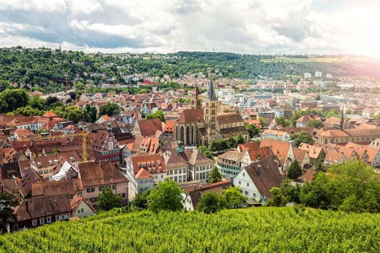 <p>STUTTGART (75) </p>
