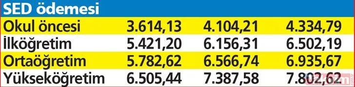 <p>SED &Ouml;DEMESİ</p>
