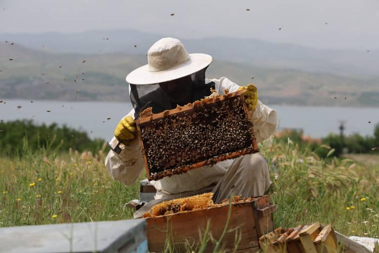 <p>Meteorolojinin de sıklıkla uyarı yaptığı toz taşınımı ilk olarak arıları etkiledi. Taşınıma bağlı olarak arılar strese girerken, çiçeklerin üzeri ise toz ile kaplandı.</p>
