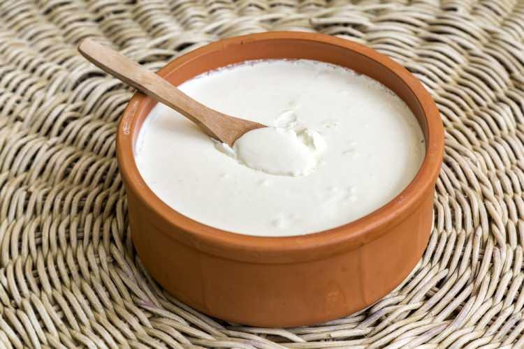 <p>İşte Dünyanın en iyi yoğurtlu lezzetleri;</p>