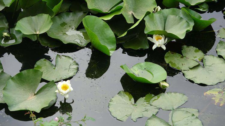 <p><span style="color:#FF0000">KOPARMANIN CEZASI 387 BİN 141 TL!</span></p>
