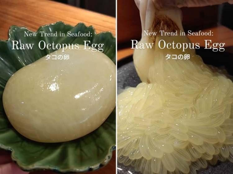 <p><span style="color:#4B0082"><em><strong>Singapur'da bir Japon restoranın menüsünde yer verdiği "çiğ ahtapot yumurtası" gündelerdir sosyal medyanın dilinden düşmüyor. Görenleri hayrete düşüren çiğ ahtapot yumurtasının trend haline gelmesi oldukça endişelendirdi. </strong></em></span></p>
