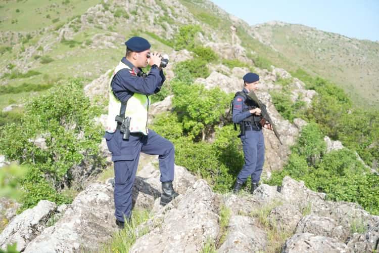 <p>Tarım ve Orman Bakanlığı Doğa Koruma ve Milli Parklar Genel M&uuml;d&uuml;rl&uuml;ğ&uuml; ise koparılan her&nbsp;<strong>lale</strong>&nbsp;i&ccedil;in 387 bin 141 TL idari para cezası kesiyor.</p>
