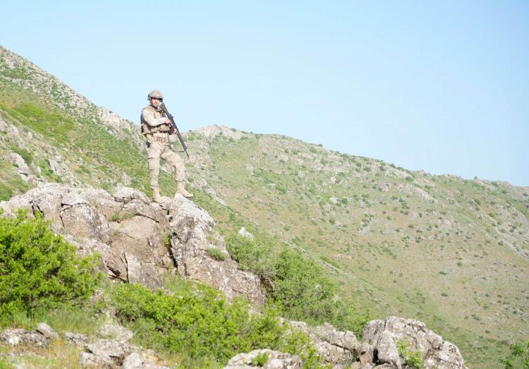 <p>Muş Valisi Avni &Ccedil;akır, Muş'un meşhur&nbsp;<strong>Ters</strong>&nbsp;<strong>Lale</strong>si ve Muş&nbsp;<strong>Lale</strong>sinin ilkbahar mevsimiyle birlikte ilin bir&ccedil;ok noktasında g&ouml;r&uuml;lebildiğini belirtti.</p>
