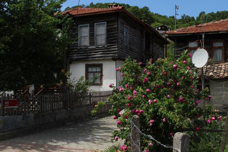 <p>Bu duruma karşı gelen köyler ise dikkat çeken nüfuslara sahip. </p>
