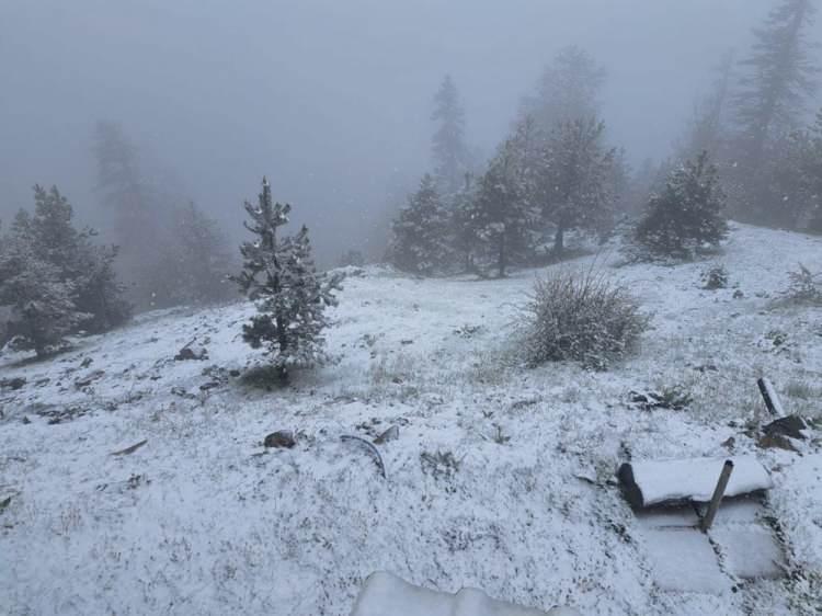 <p>İlçeye 40 kilometre uzaklıktaki yaylada yeşil alanlar ile ağaçlar kar altında kaldı.</p>
