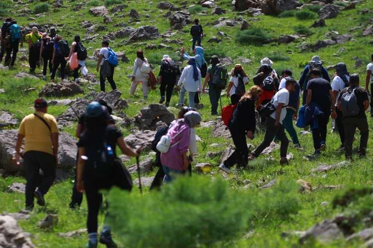 <p>Ters lalelerin kısa bir süre canlılığını koruduğunu ifade eden Şule Yüceyurt da "Yürüyüş parkuru çok zor değildi. Ters laleler endemik bir bitki, coğrafyamızda çok nadir yetişen bir bitki. Endemik bir bitki olduğu için her yerde yetişmiyor, dolayısıyla çok narin. Sadece bu bölgeye özgü olduğu için korumak da o derece önemli. Nasıl görmek istiyorsak, öyle bırakalım" dedi. </p>
