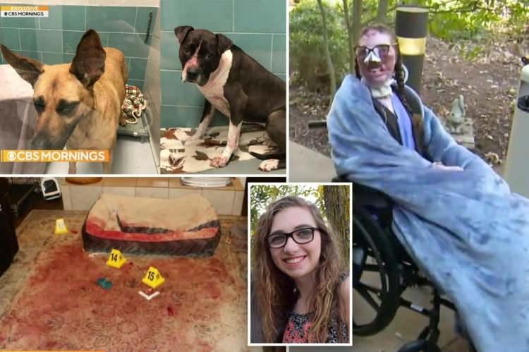 <p>Durand, üniversite öğrencisiyken harçlığını çıkarmak için köpek bakımı işi yapıyordu. Fakat bir gün hiç beklemediği bir saldırıyla karşılaştı.</p>